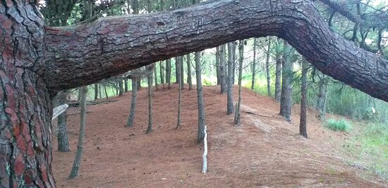 Camping Costa Silvestre