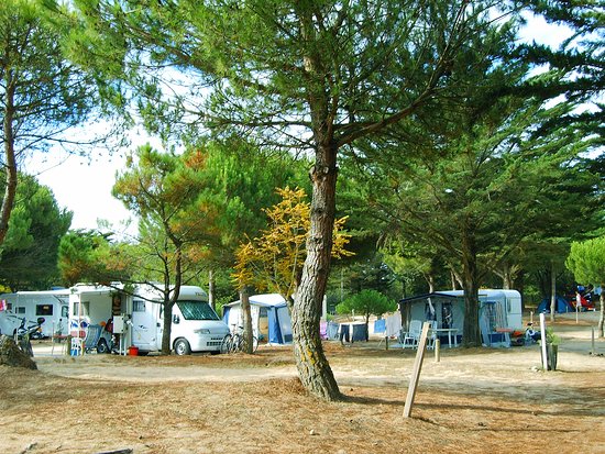 Camping De Municipales