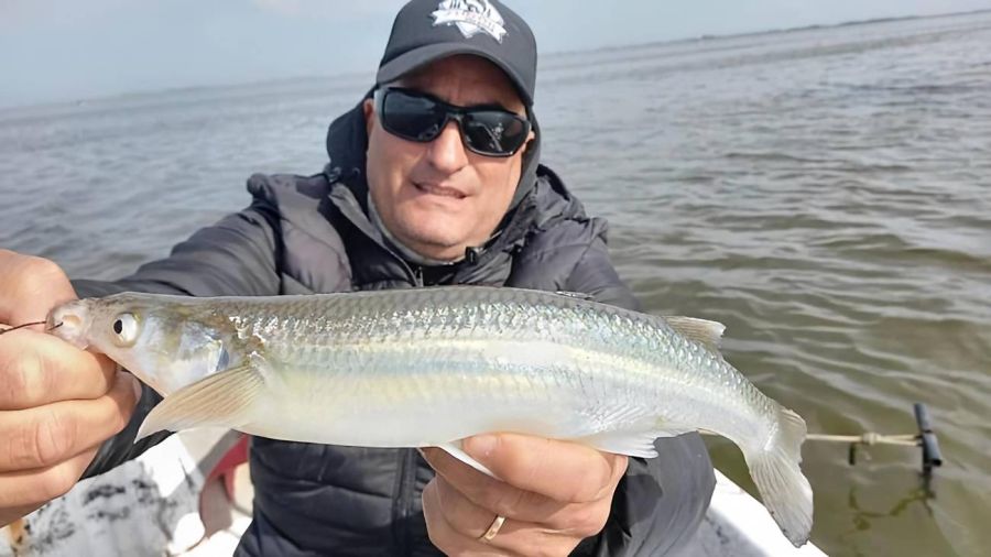 Camping Ipona Guazú