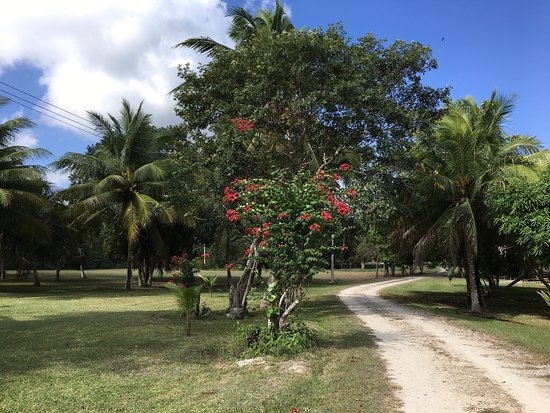 Camping La Resbalosa