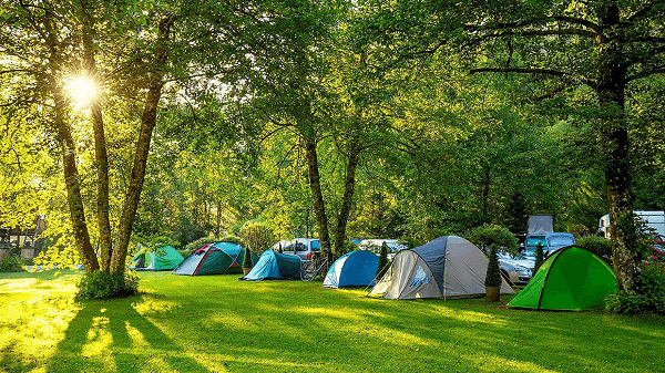 Camping & Proveeduría