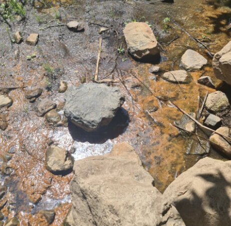 Camping San Carlos