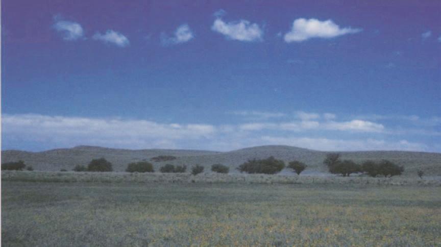 Camping Sustentable Los Caldenes