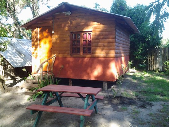 Dormis, Camping, Nelly