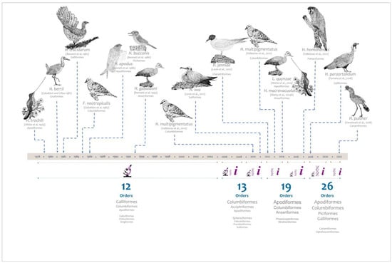 El COLIBRI, C.B.E