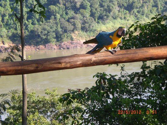 Camping En Cataratas Del Iguazú