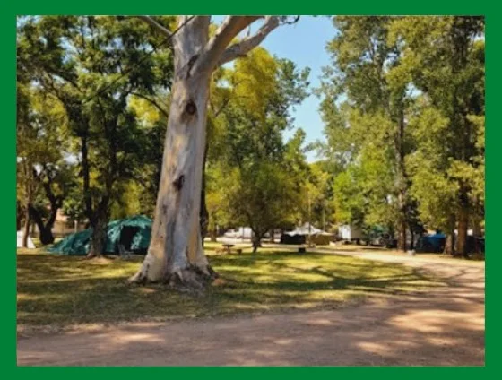 Camping En Concordia