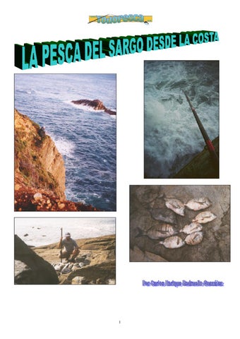 Muelle De Pesca Los 5 Hermanos (jose)