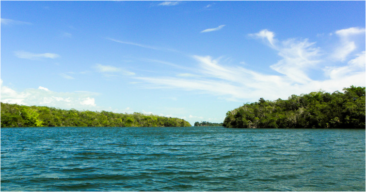 Parque Natural Laguna De Gómez